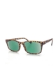 lunettes loupe de lecture teintées marron écaille et verres teinte verte